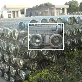 Galvanized / Silicon Industrial Dust Collector Filter Bags Cage Bag Filter Cage